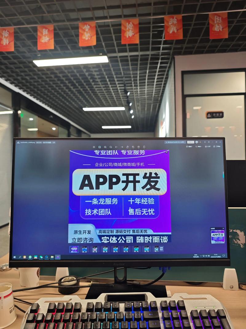 软件开发
